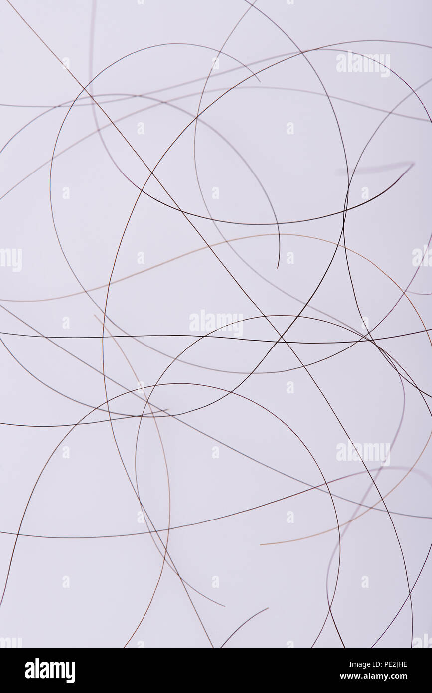 Dunkle Haare auf weißem Hintergrund Stockfoto