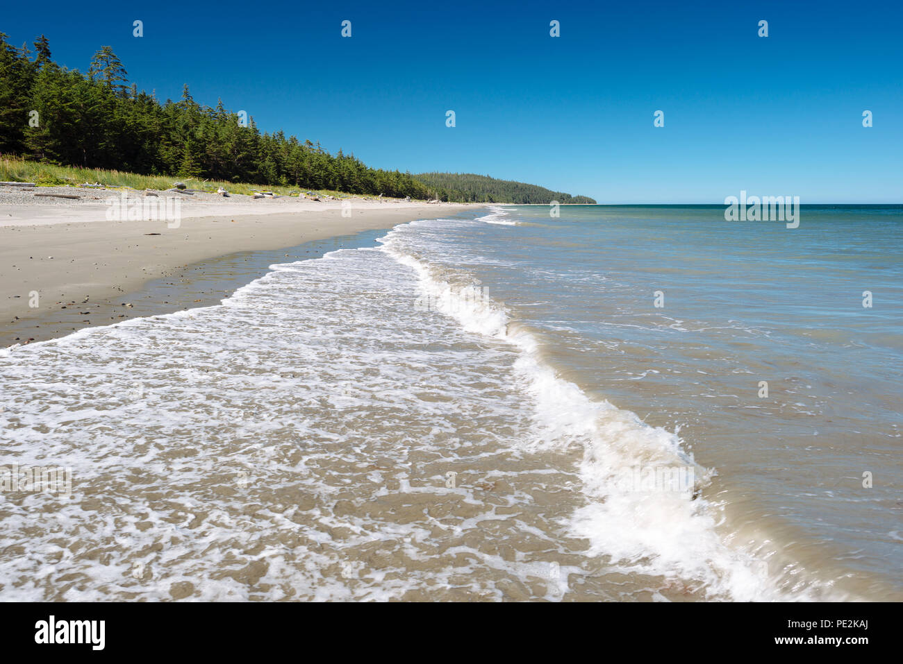 Jungle Beach an einem klaren Sommertag in Haida Gwaii, British Columbia, Kanada Stockfoto