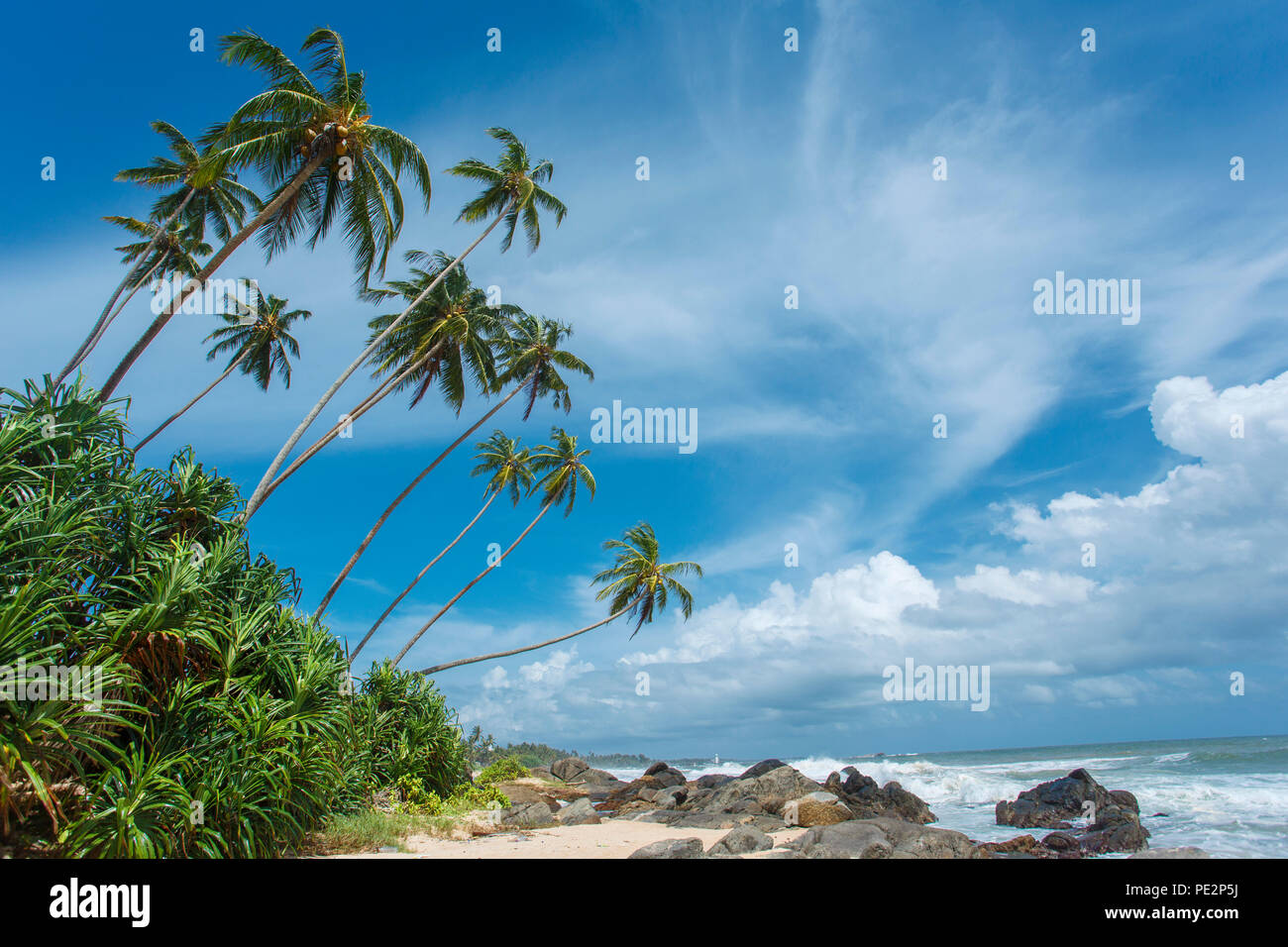 Tropischen Strand von Sri Lanka Stockfoto