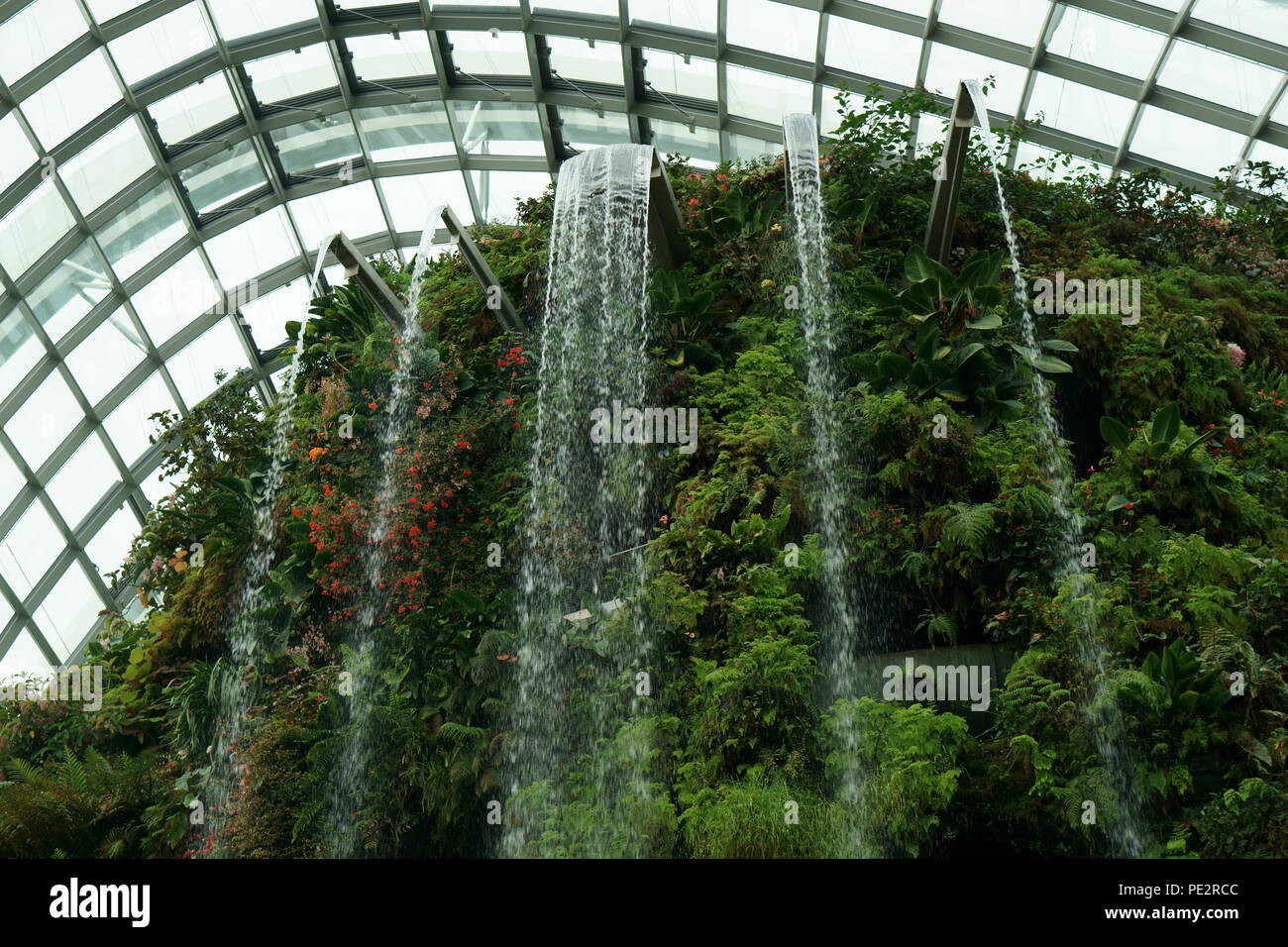 Cloud Forest in Singapur Stockfoto