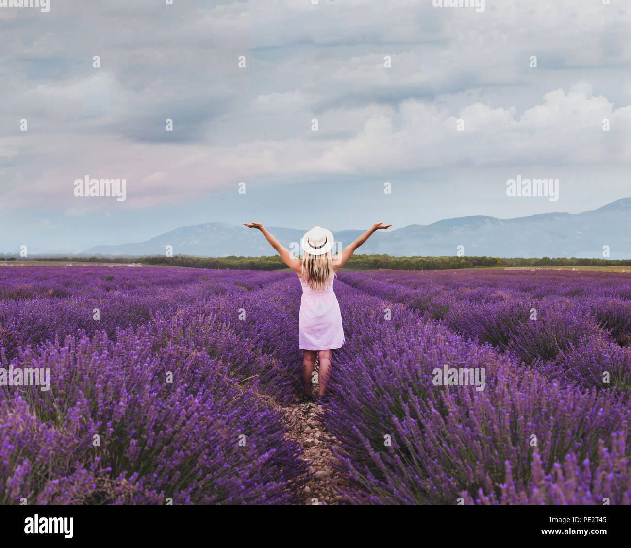 Inspiration und Kreativität Konzept, Frau in inspirierende Landschaft der Lavendelfelder in Frankreich Stockfoto