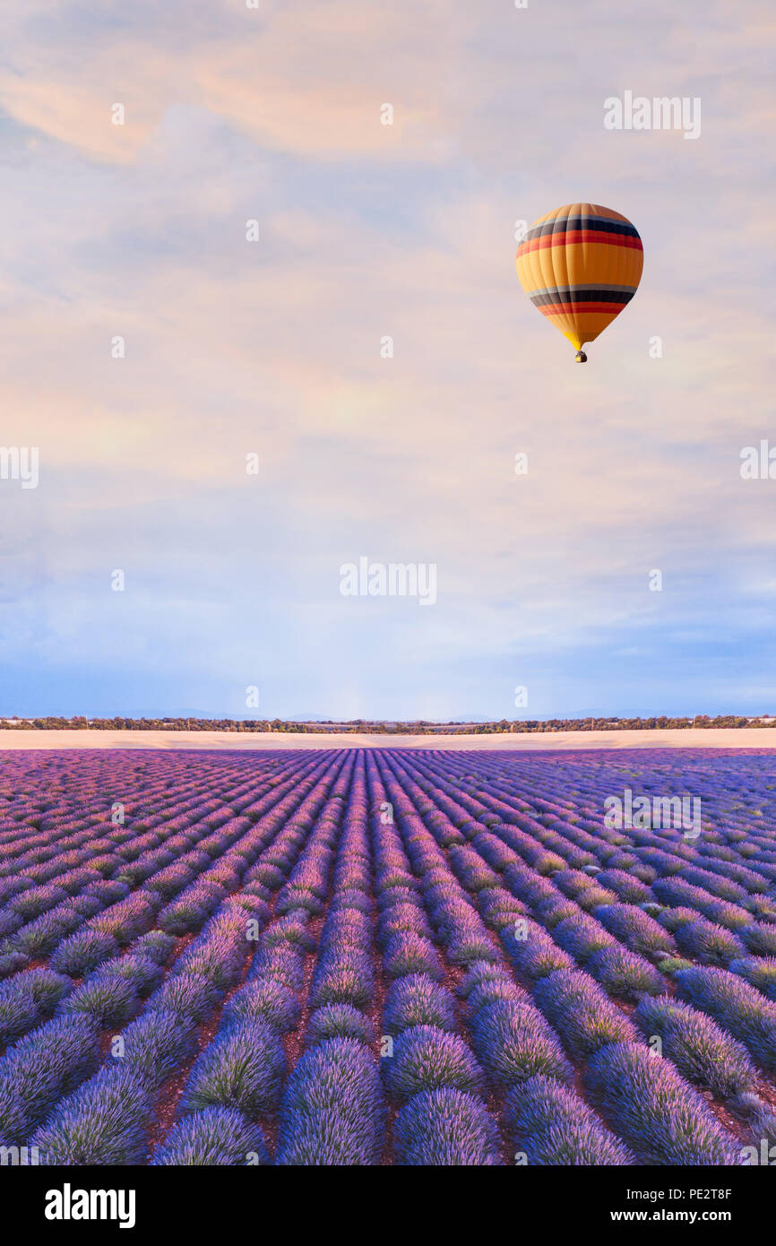 Reiseziel, schönen Traum inspirierende Landschaft mit Heißluftballon fliegen oben Lavendelfelder in der Provence, Tourismus in Frankreich Stockfoto