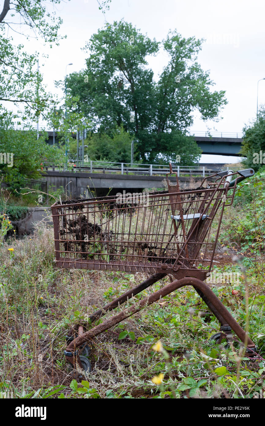 Die gedumpten Einkaufswagen, Brent River, in der Nähe von Brent Reservoir, Brent, London, Vereinigtes Königreich Stockfoto
