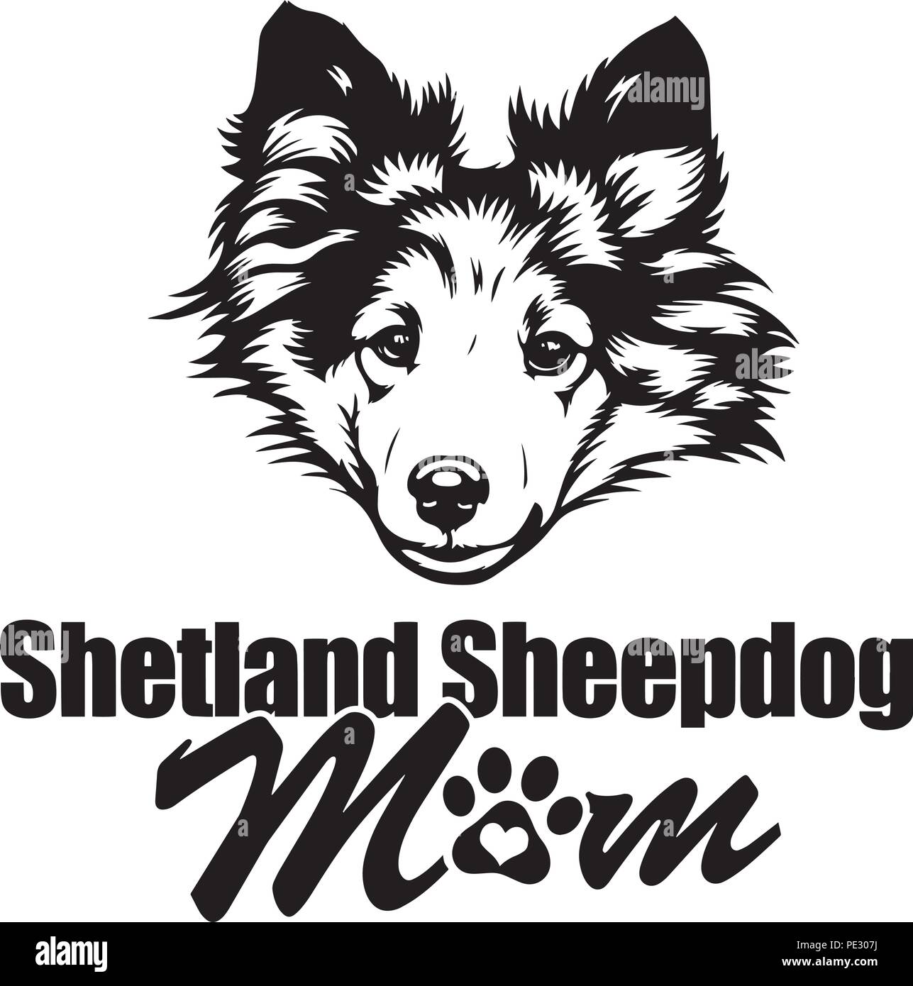Shetland Sheepdog Sheltie Hunderasse Haustier Welpen isoliert Kopf Gesicht Stock Vektor