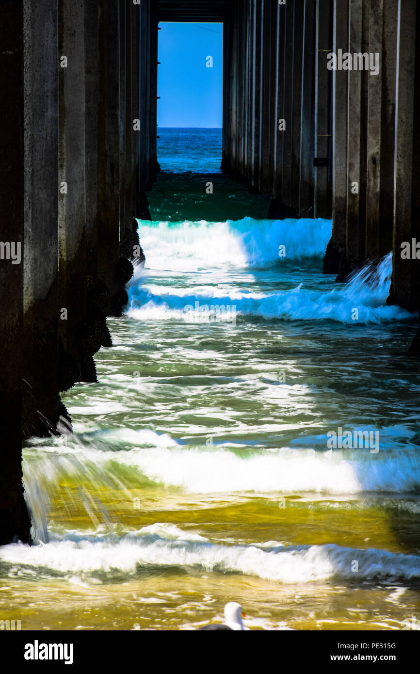 Unter Scripps Pier in San Diego, Kalifornien Stockfoto