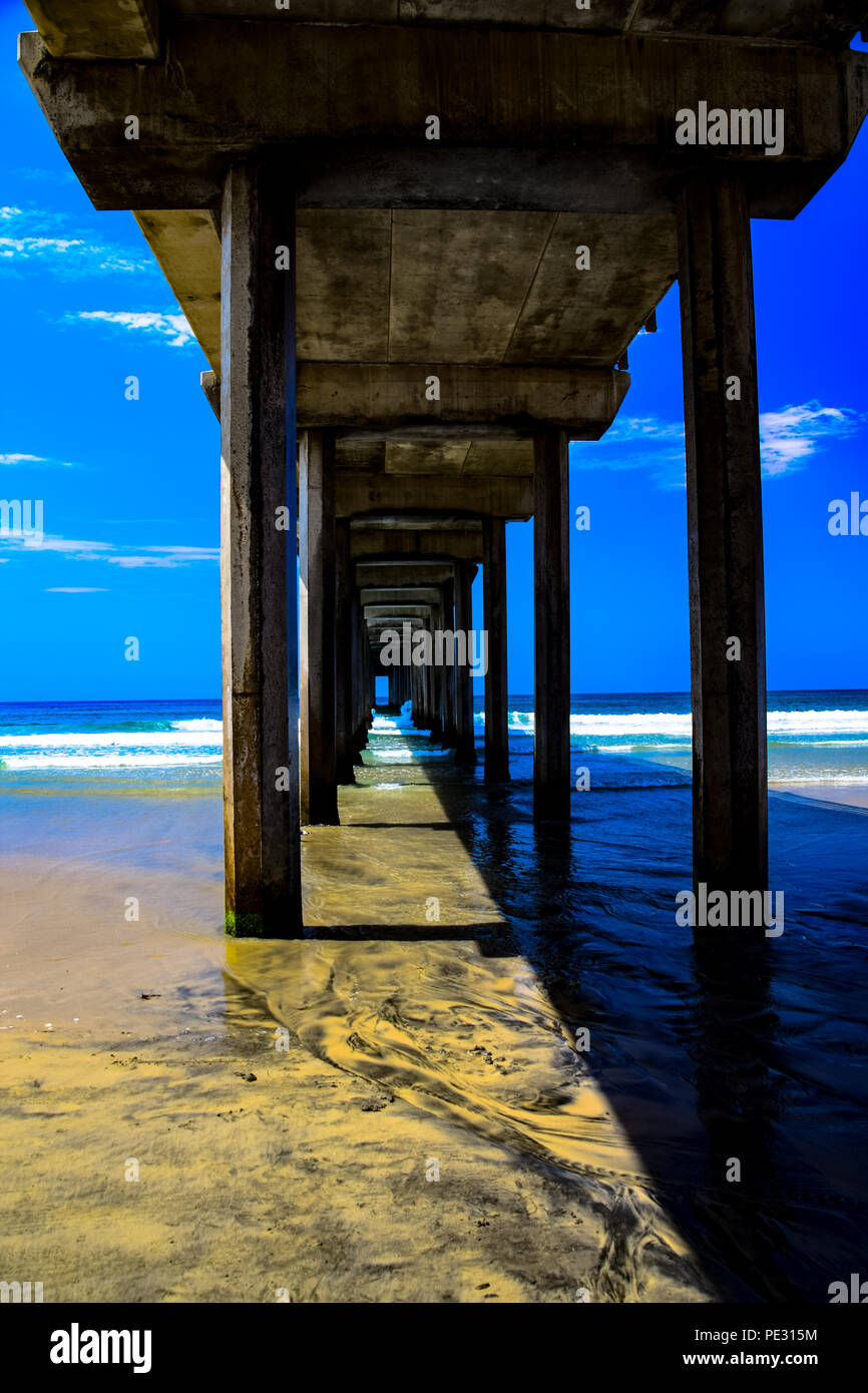 Unter Scripps Pier in San Diego, Kalifornien Stockfoto
