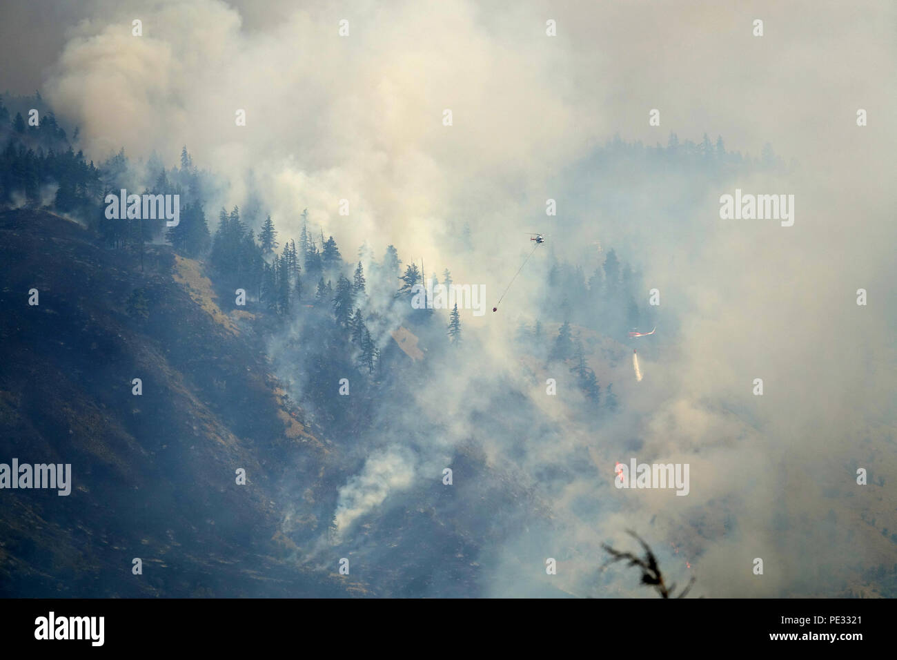Eines der wirksamsten Werkzeuge für aerail fiighting wildfire ist ein Angriff durch Hubschrauber, die Wasser auf die firelines. Stockfoto