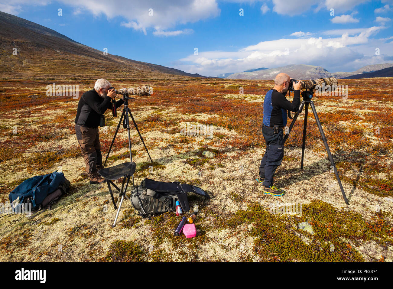 Zwei Naturfotografen mit großen Teleobjektiven bei der Arbeit in der dovrefjell Nationalpark Dovrefjell, Norwegen. Stockfoto