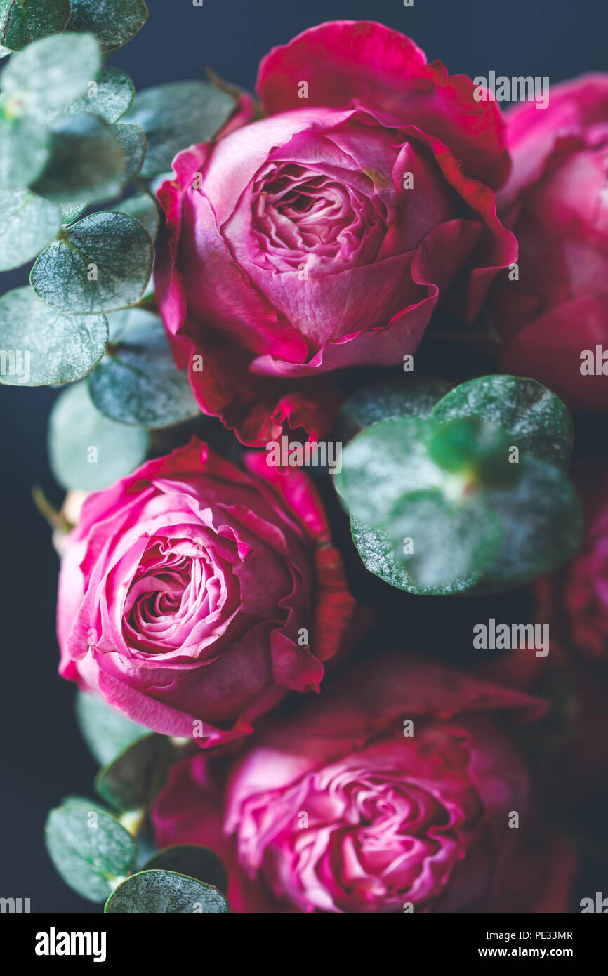 Makrofotografie von dunkel rosa Rosen Blumenstrauß über Blau. Soft Focus, Ansicht von oben, close-up Komposition. Stockfoto