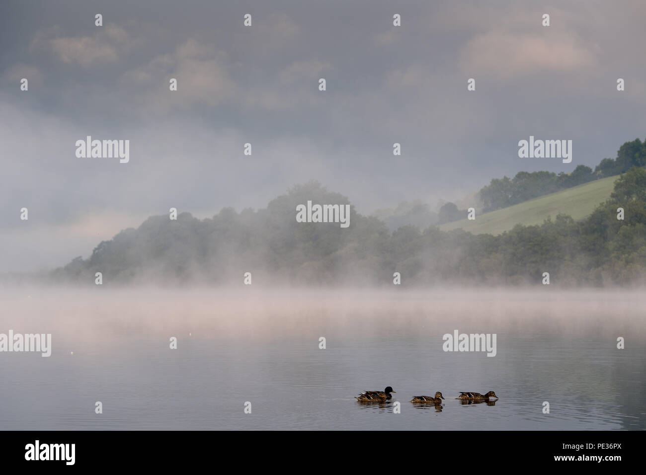 Einen weiteren herrlichen Tag bekons nach dem frühen Morgennebel in den Yorkshire Dale Nationalpark um Semerwater, Wensleydale. Stockfoto