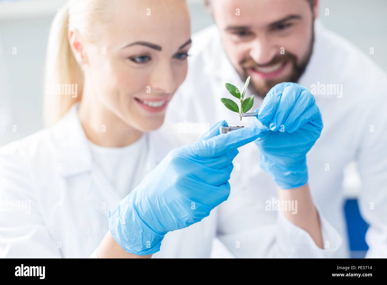 Die biologische Wissenschaft. Sehr positiv Schönes bio Wissenschaftler an die grüne suchen Sprout und lächelnd, während sie ihrem Projekt glückliches Sein Stockfoto