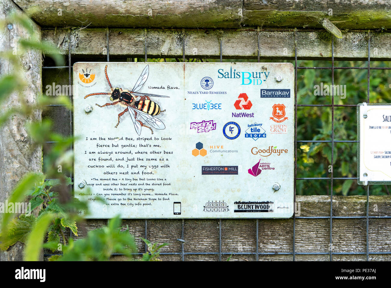 Salisbury Biene trail Zeichen mit einer Abbildung eines Nomad Bee Nomada flava Stockfoto