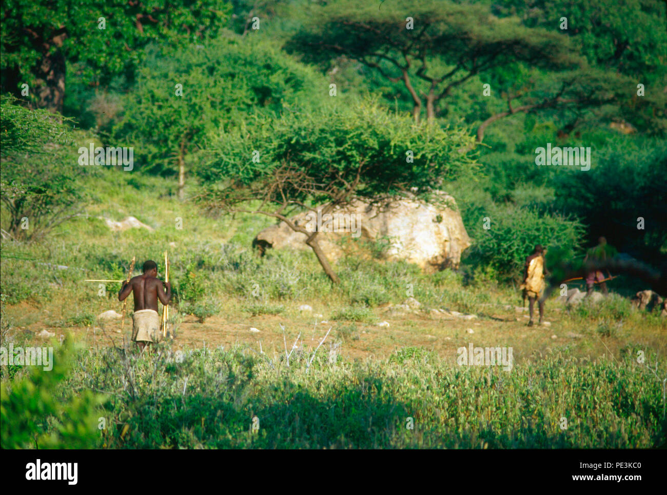 Die hadza Leute klicken Sie sprechenden Menschen, Jäger und Sammler, Leben in der Region Lake Eyasi, Tansania. Es gibt vielleicht nur 200 von ihnen noch l Stockfoto