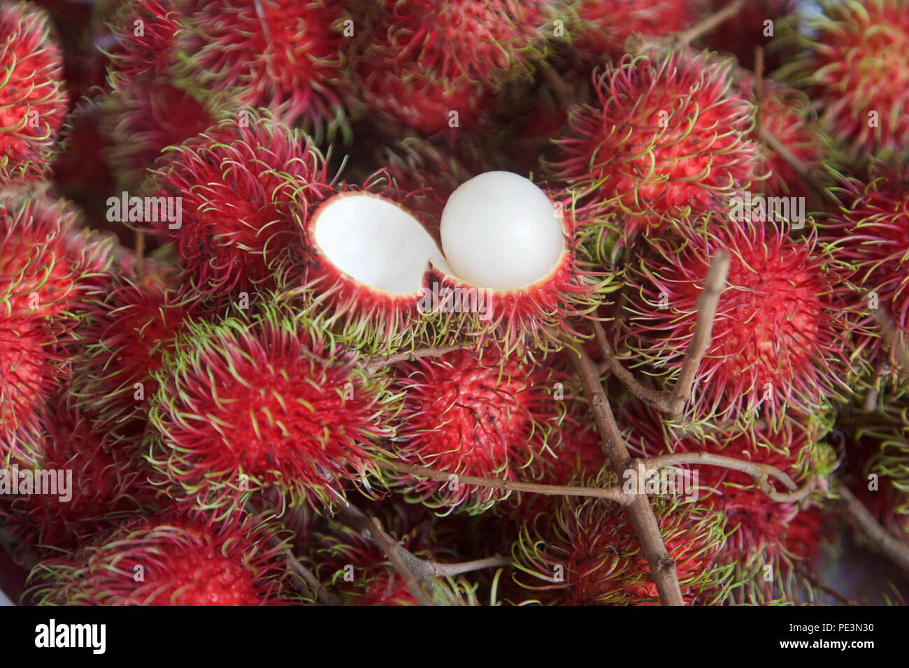 In der Nähe von frisch gepflückte Rambutan, Aufschneiden, Thailand Stockfoto