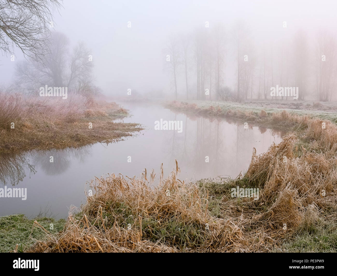 Ein winter Szene auf dem Fluss in der Nähe von Bure Oxnead. Stockfoto