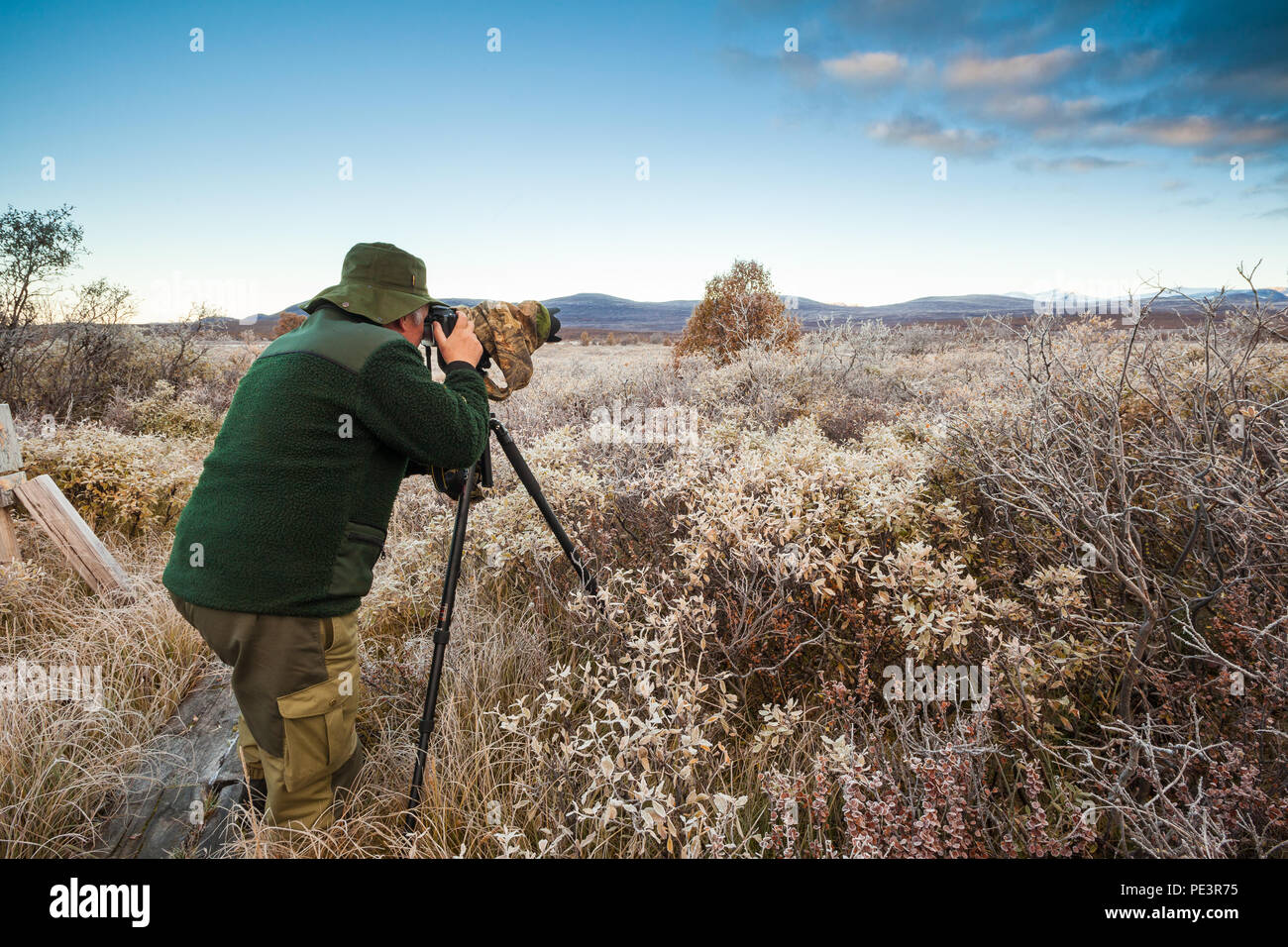 Naturfotograf mit Teleobjektiv und Stativ an Fokstumyra Nature Reserve, Dovre, Norwegen. Stockfoto