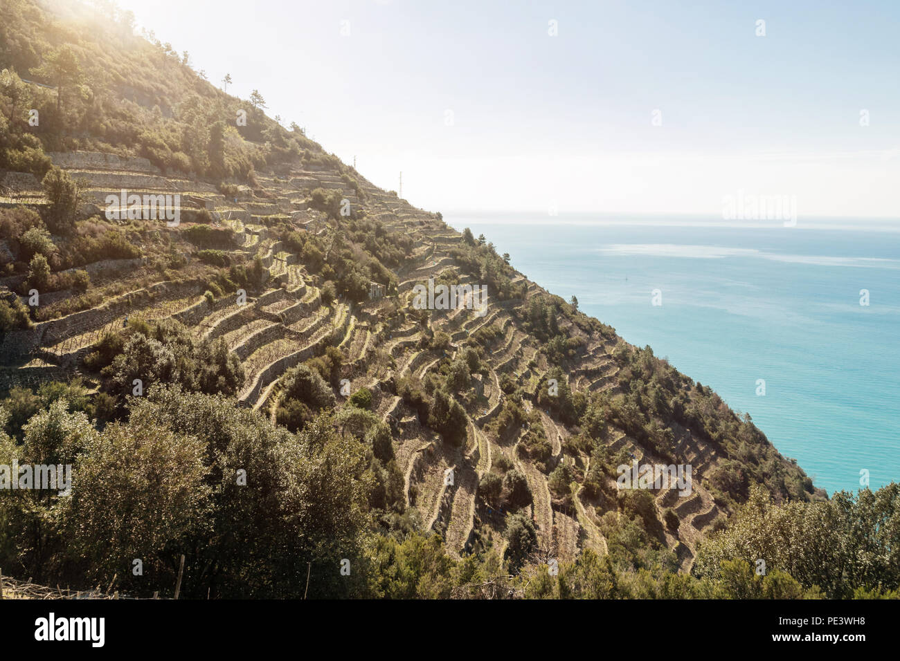 Schöne Aussicht auf die Weinberge auf die Berge und das Meer. Cinque Terre, Italien. Stockfoto