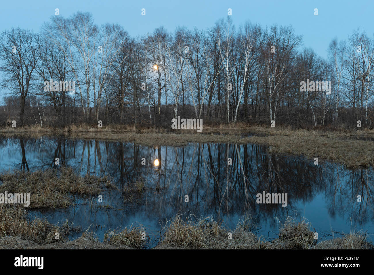 Mond,, vernal Teich, Crex wiesen Wildlife Management Area, WI, USA, von Dominique Braud/Dembinsky Foto Assoc Stockfoto