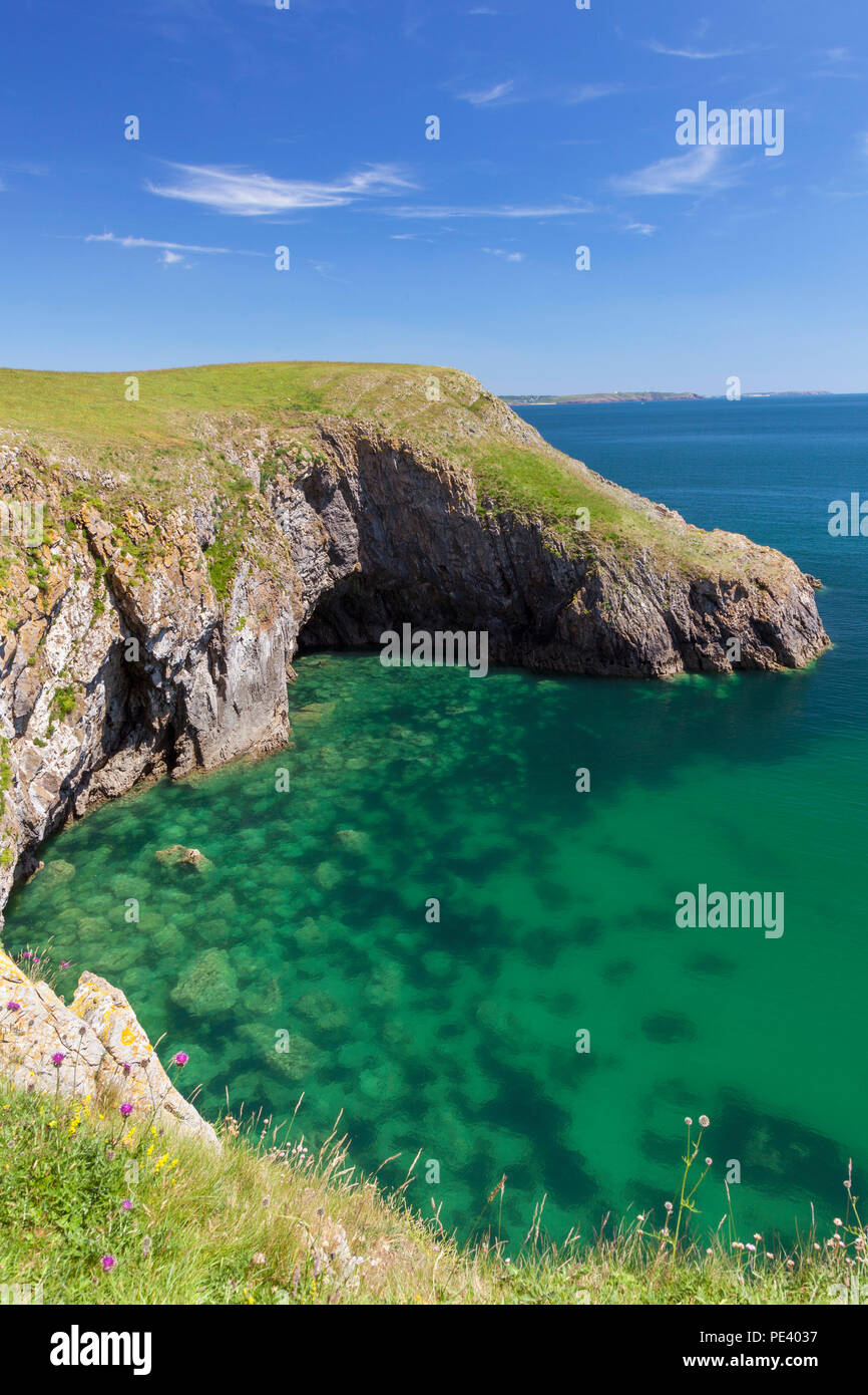 Barafundle Bay, Pembrokeshire Coast, Pembrokeshire, Wales, Großbritannien Stockfoto