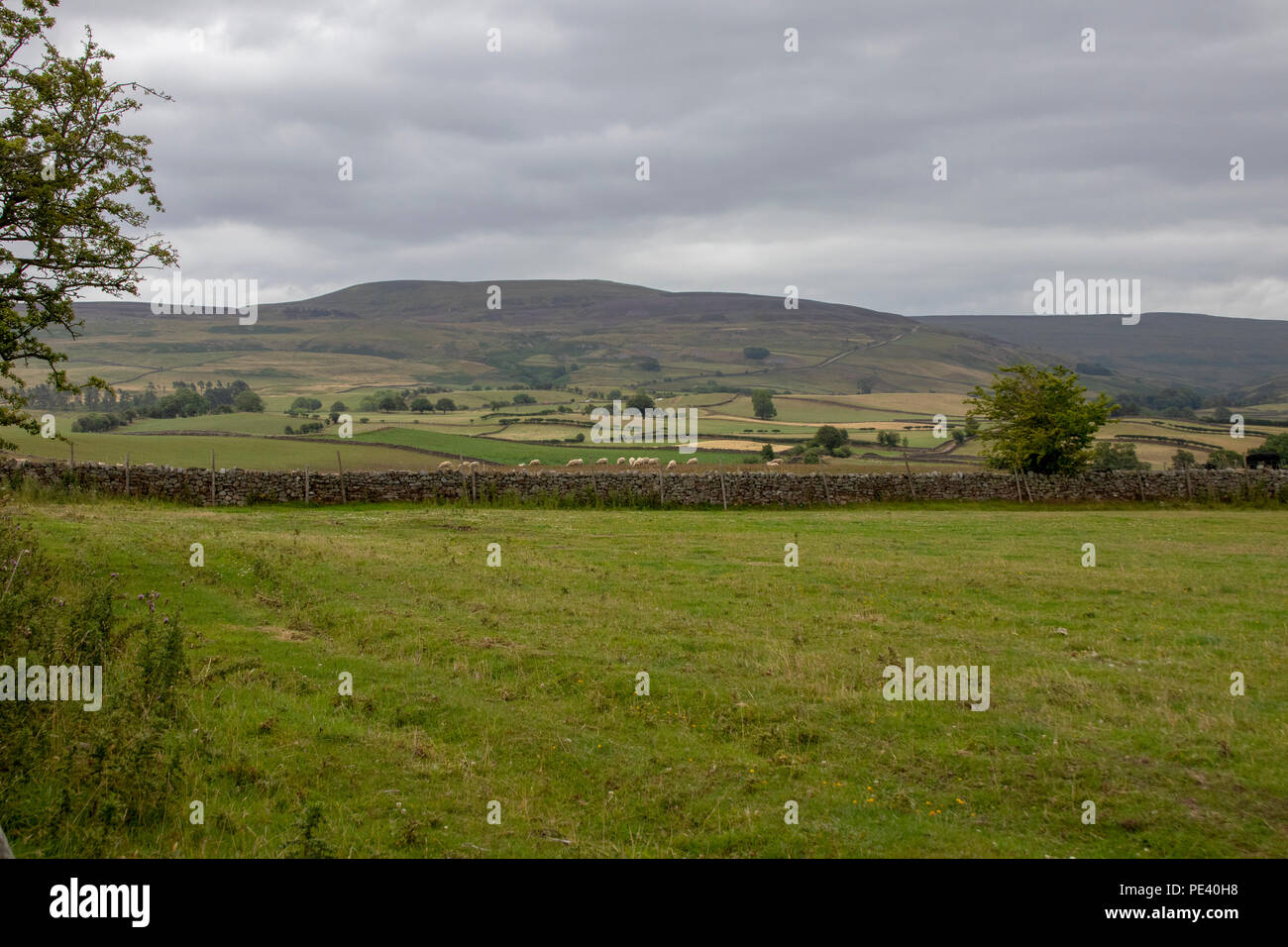 Blick über Eden Valley zu den North Pennines Stockfoto