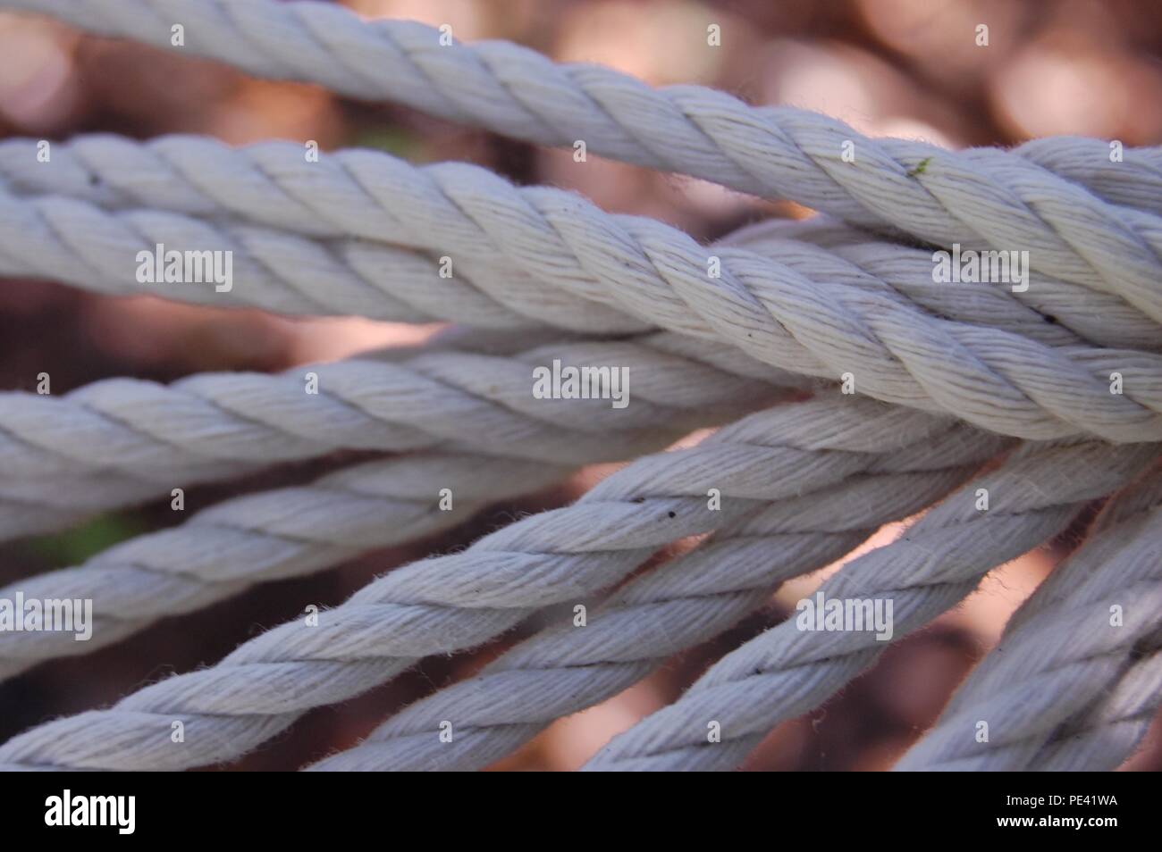 Verdrilltes Seil Linien Stockfoto