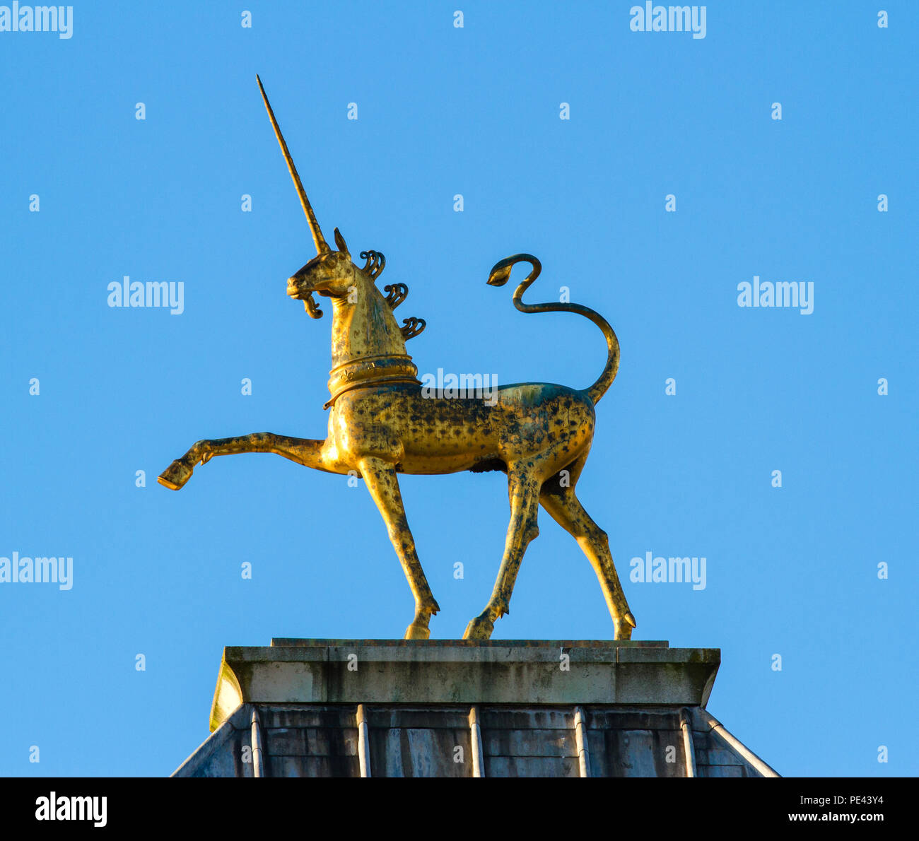 Vergoldete Einhorn-Finial - eine von zwei Skulpturen von David McFall auf dem Dach des Rathauses, das früher in Bristol UK war Stockfoto