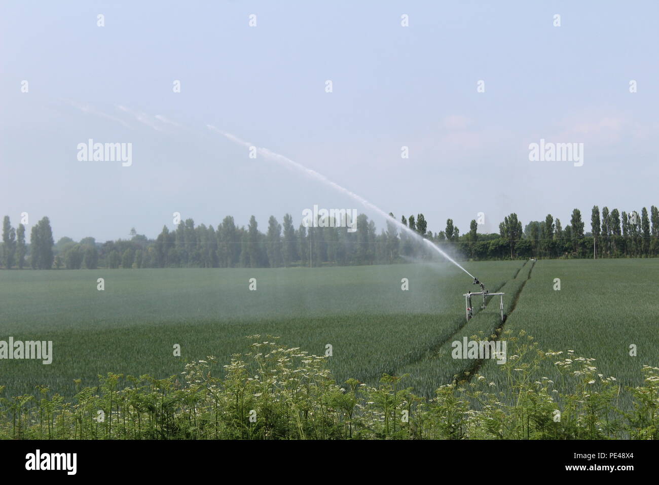 Feld durch Kreis Bewässerung oder Center - pivot Bewässerungssystem im Selby North Yorkshire UK verwässert werden Stockfoto