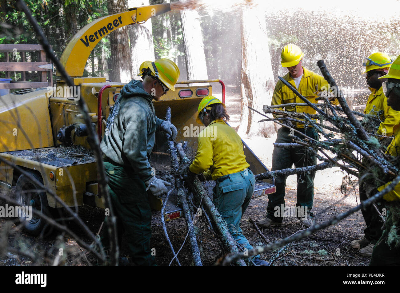 KALISPEL INDIAN RESERVATION, Washington - Soldaten der Task Force erste Runde Last Holz in einem Holz chipper als Teil der cleanup Operationen zu lokalen und staatlichen Feuerwehrmänner mit der Waldbrände im Staat Washington Sept. 9 helfen. Charles McNeill (links), High Country Urban Wildland Feuerwehrmänner, hilft und informiert Soldaten, wie man richtig klar liegendem Holz während des Tages von cleanup Operations. (U.S. Armee Foto von Sgt. Steve Peterson, 28 Public Affairs Abteilung) Stockfoto