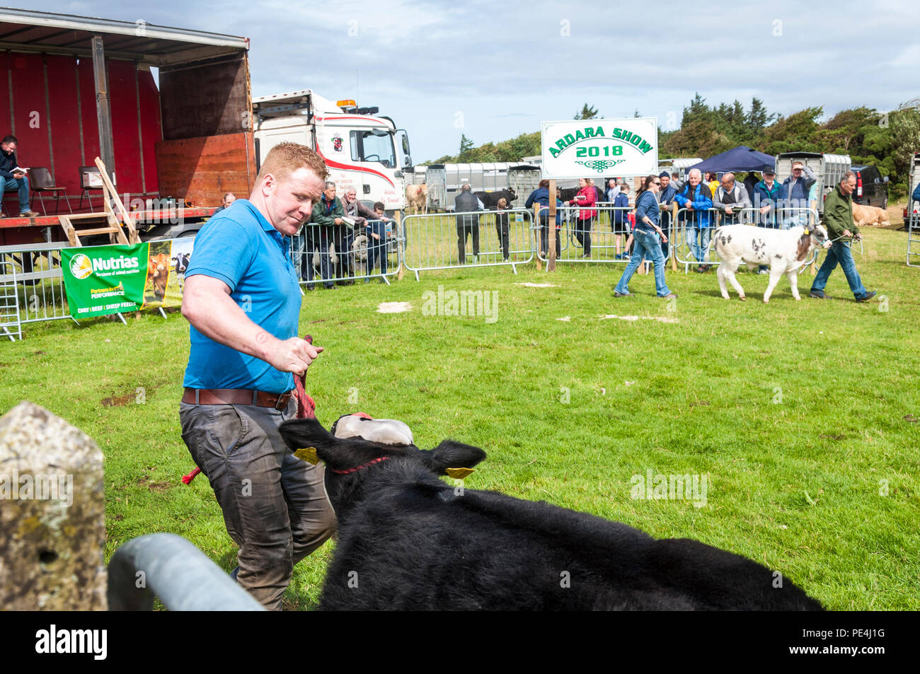 Ardara, County Donegal, Irland. Die Landwirte und die Rinder bei der jährlichen Ardara Landwirtschaft zeigen. Stockfoto