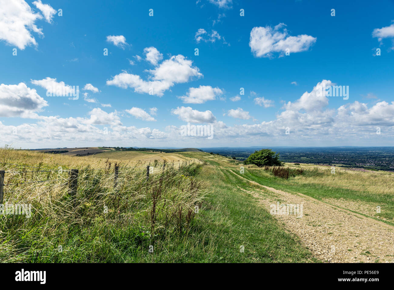 Fußweg in Ditchling Beacon, Sussex, UK. Mit einer fantastischen Aussicht auf die Sussex. Stockfoto