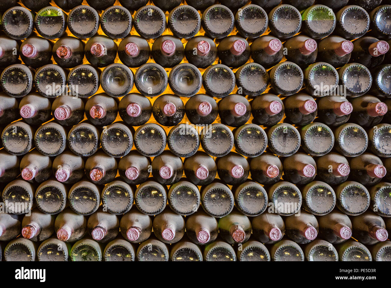 Eine Wand voller staubiger Alterung und Reifung glasswine Flaschen in einem Weinkeller. Stockfoto