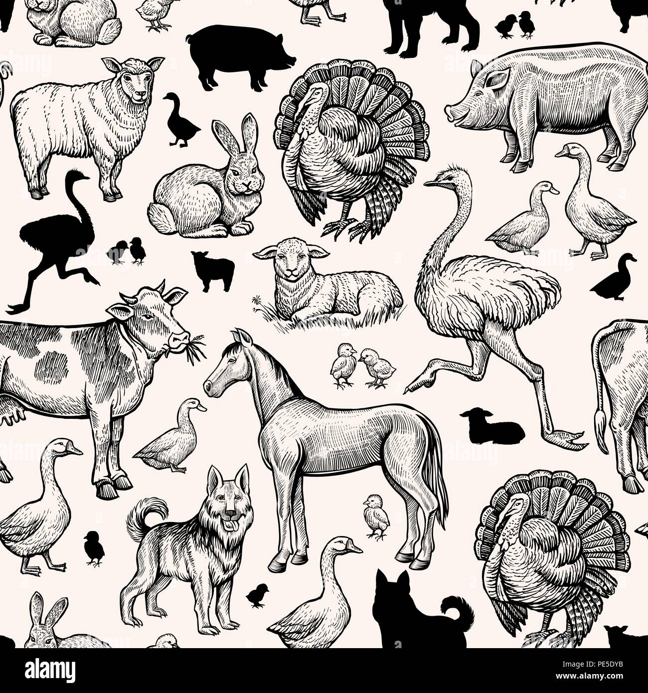 Nutztiere nahtlose Muster. Vintage Gravur Pferd, Kuh und Schwein, Huhn,  Ente und Strauß. Truthahn, Lamm und Schaf, Pferd. Handdrawn Schwarz  skizzieren Umrisse vektor design für Print Stock-Vektorgrafik - Alamy