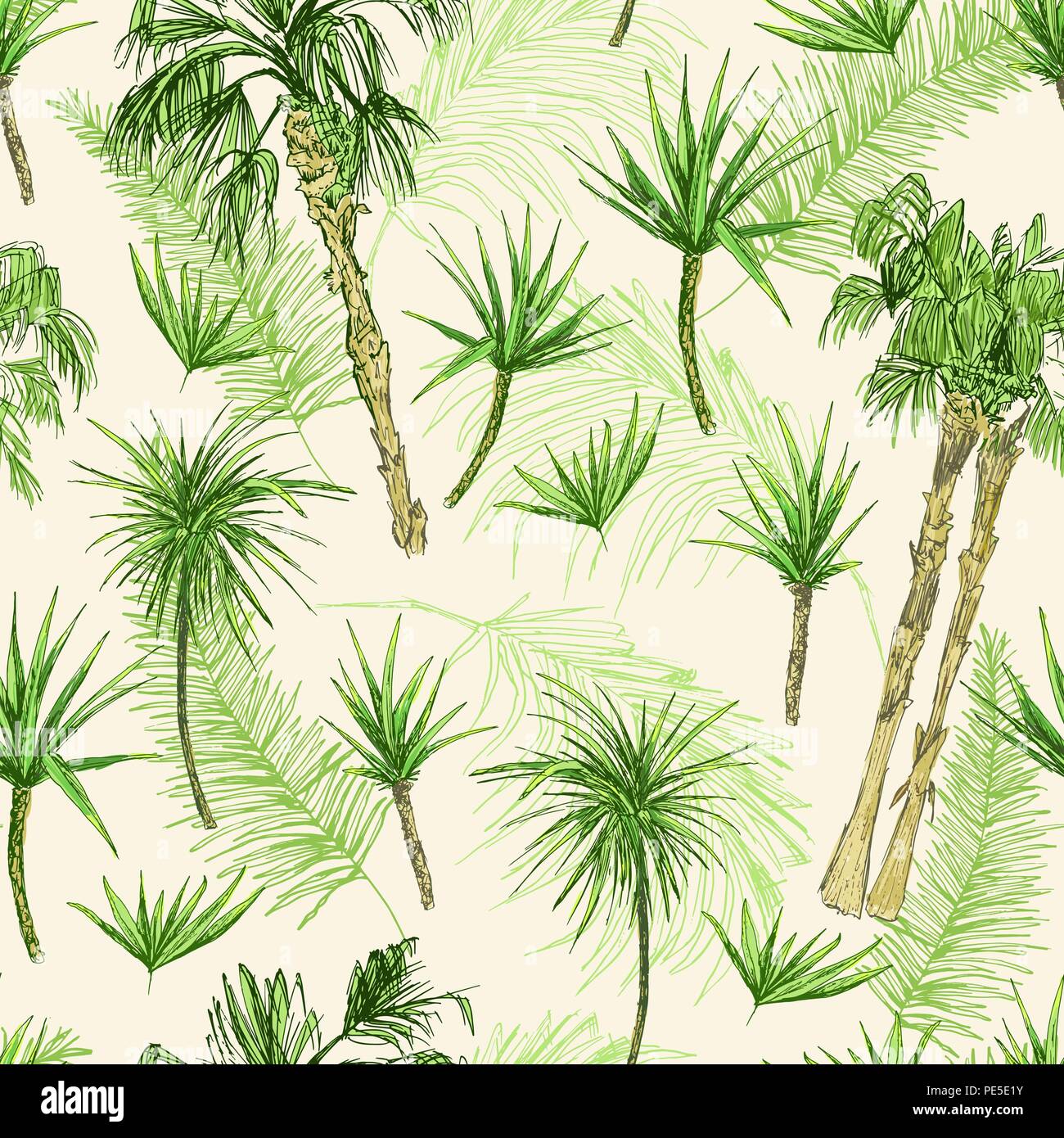 Palmen nahtlose Muster. Grüne Kokosnuss oder Königin Palmen mit Blättern. Strand und Regenwald, Wüste coco Flora. Laub von subtropischen Farn. Grüne Palmae oder Dschungel arecaceae. Mode Botanik Stock Vektor