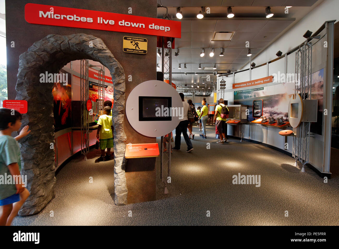 Welt der Mikroben interaktive Ausstellung in der New York Hall of Science Stockfoto