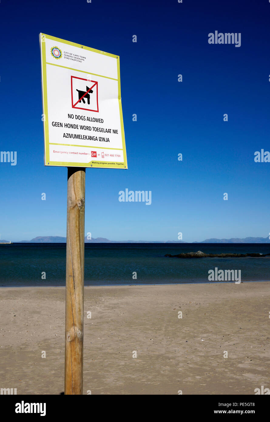 Keine Hunde erlaubt am Strand Strand im Strand, Kapstadt, Südafrika. Stockfoto