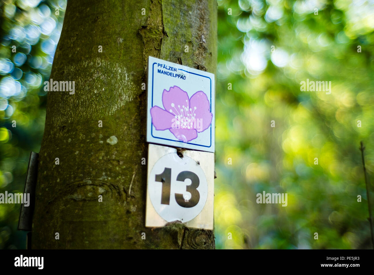 Pfälzer Mandelpfad trail Kennzeichnung Stockfoto