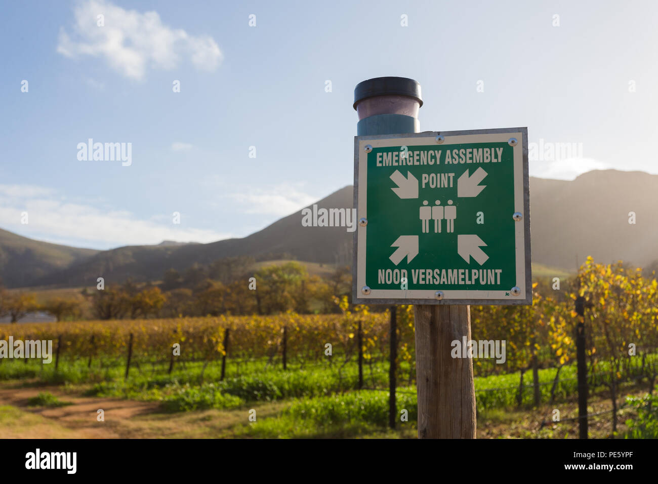 Draußene oder Signage anzeigen Sicherheit Informationen für Evakuierungssysteme auf einer Versammlung Punkt auf einem Weingut Stockfoto