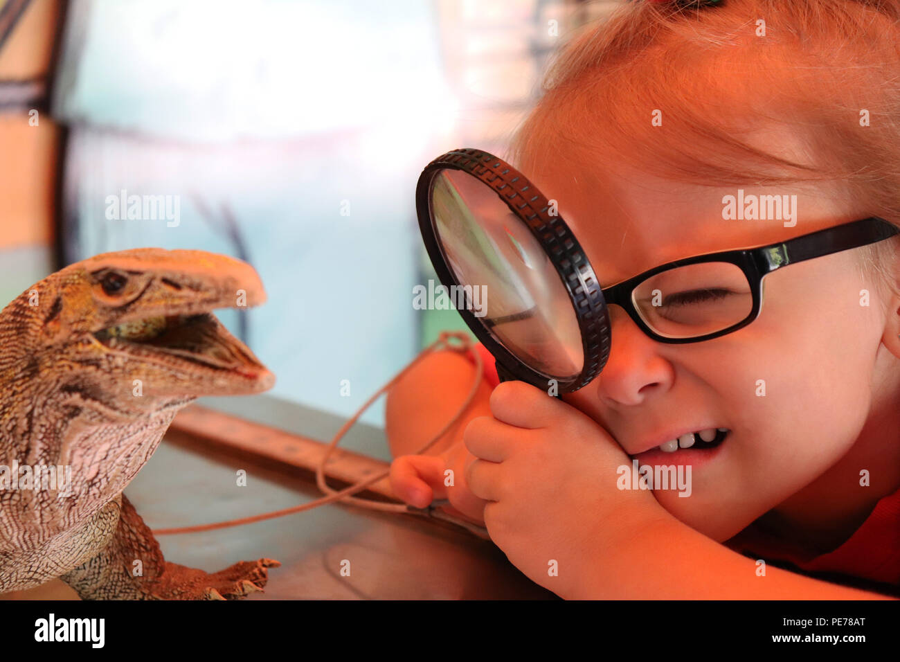 Kleines Mädchen mit Hilfe einer Lupe zu einem Reptil zu suchen Stockfoto