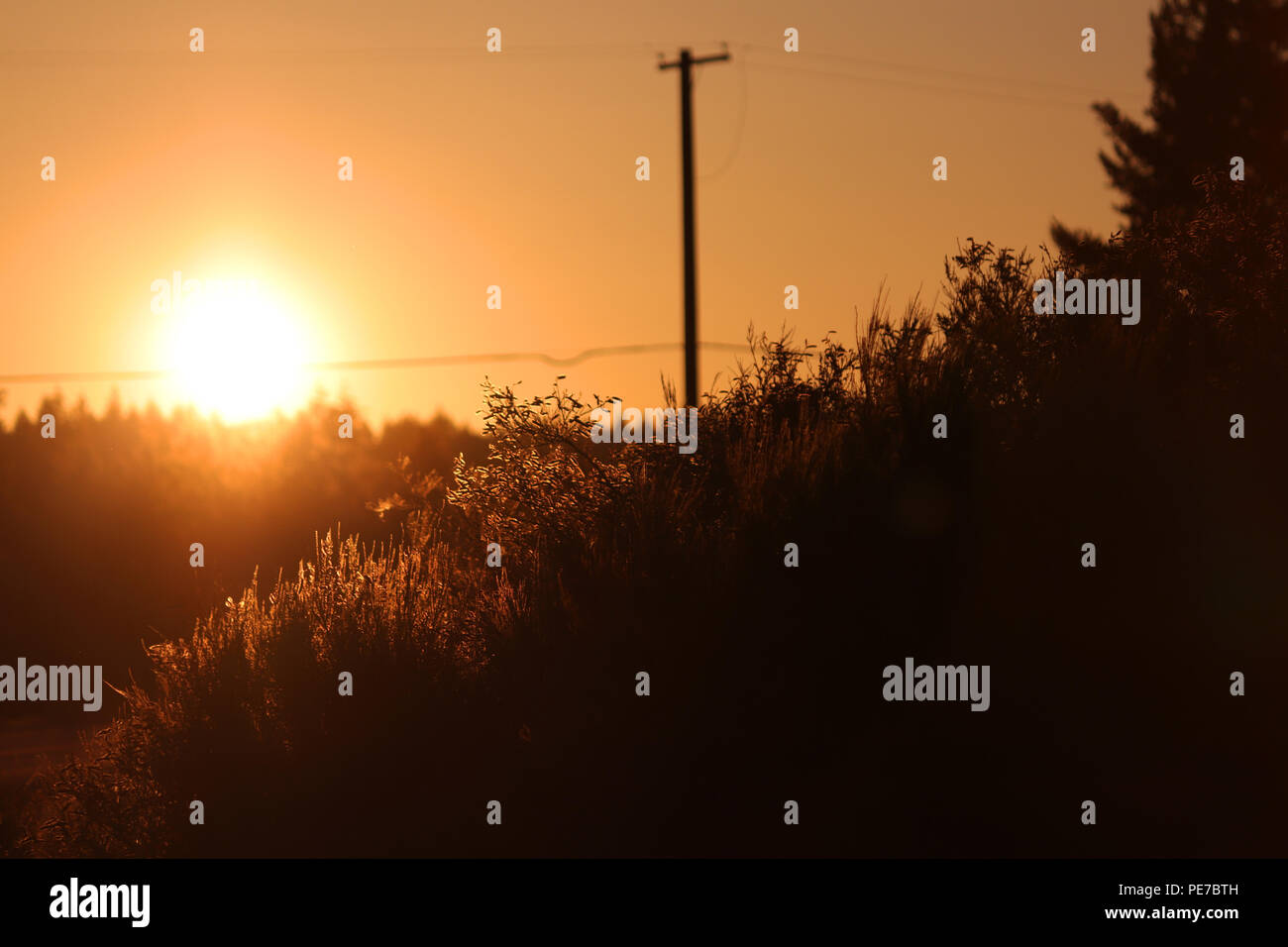 Sonnenuntergang in Yelm, Washington Stockfoto