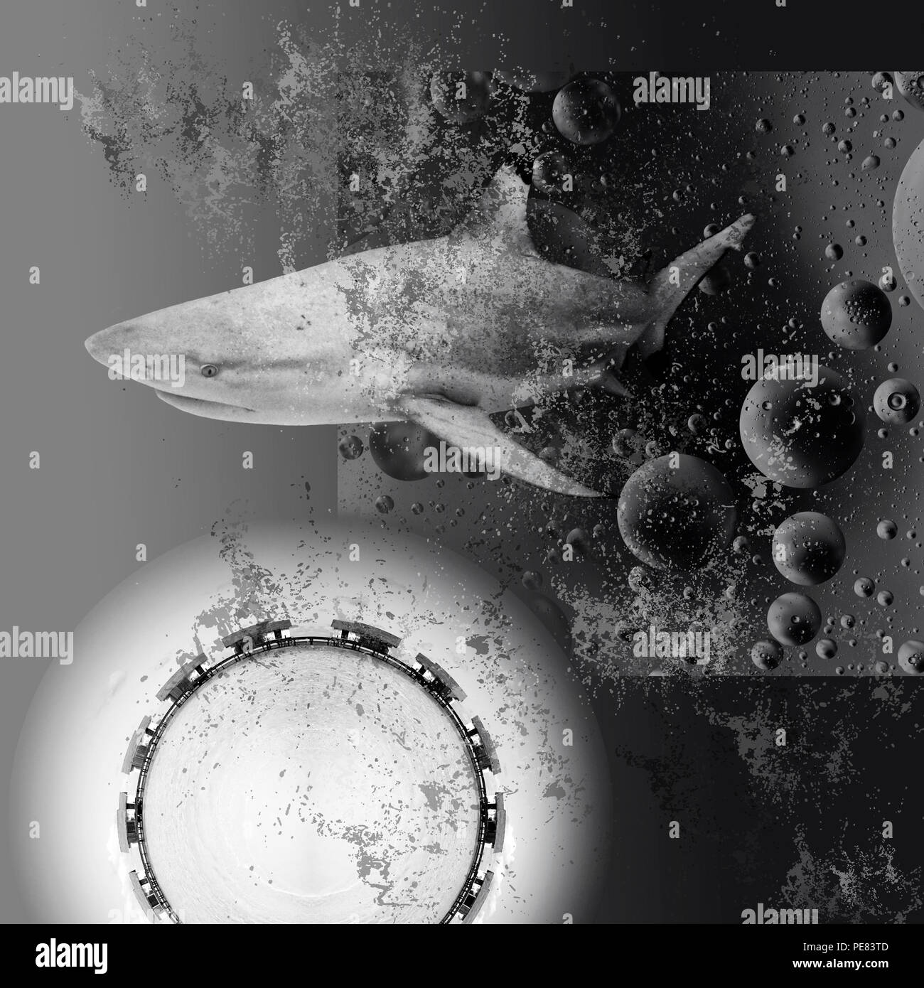 Schwarze und weiße abstrakte Collage. Tropen, Konzept. Der Hai taucht aus den dunklen Abgrund Stockfoto