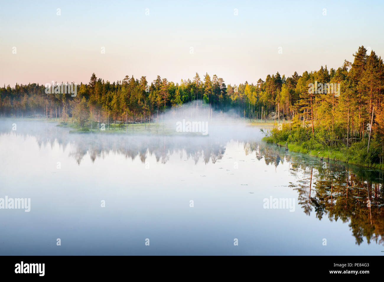Morgennebel am Wald See Panoramaaussicht. Landschaft bei Sonnenaufgang. Karelien, Russland Stockfoto
