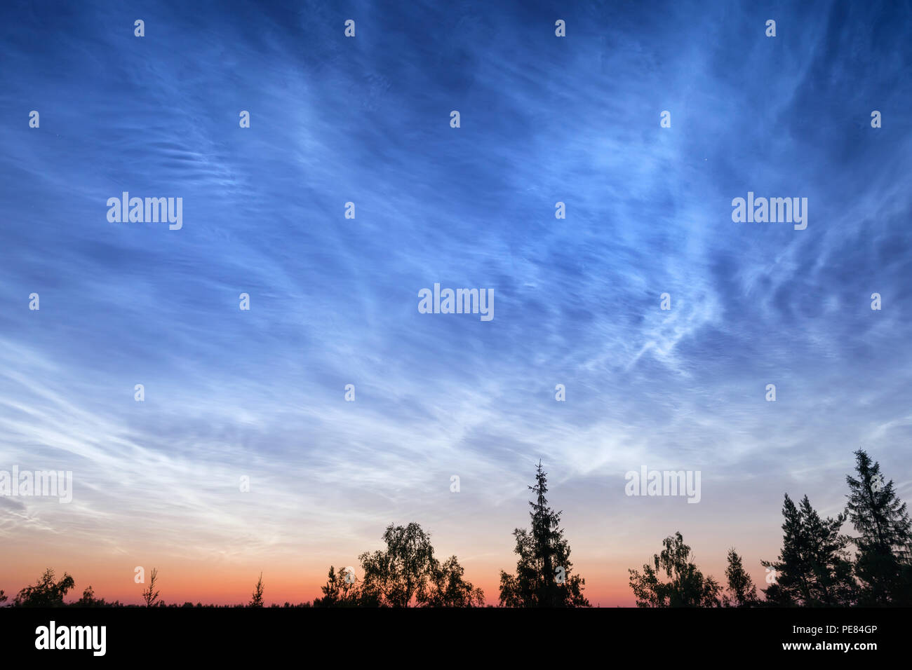 Nacht bewölkt Himmel über tiefen Wald. Abstrakte outdoor Szene bei Sonnenuntergang. Südkarelien, Russland Stockfoto