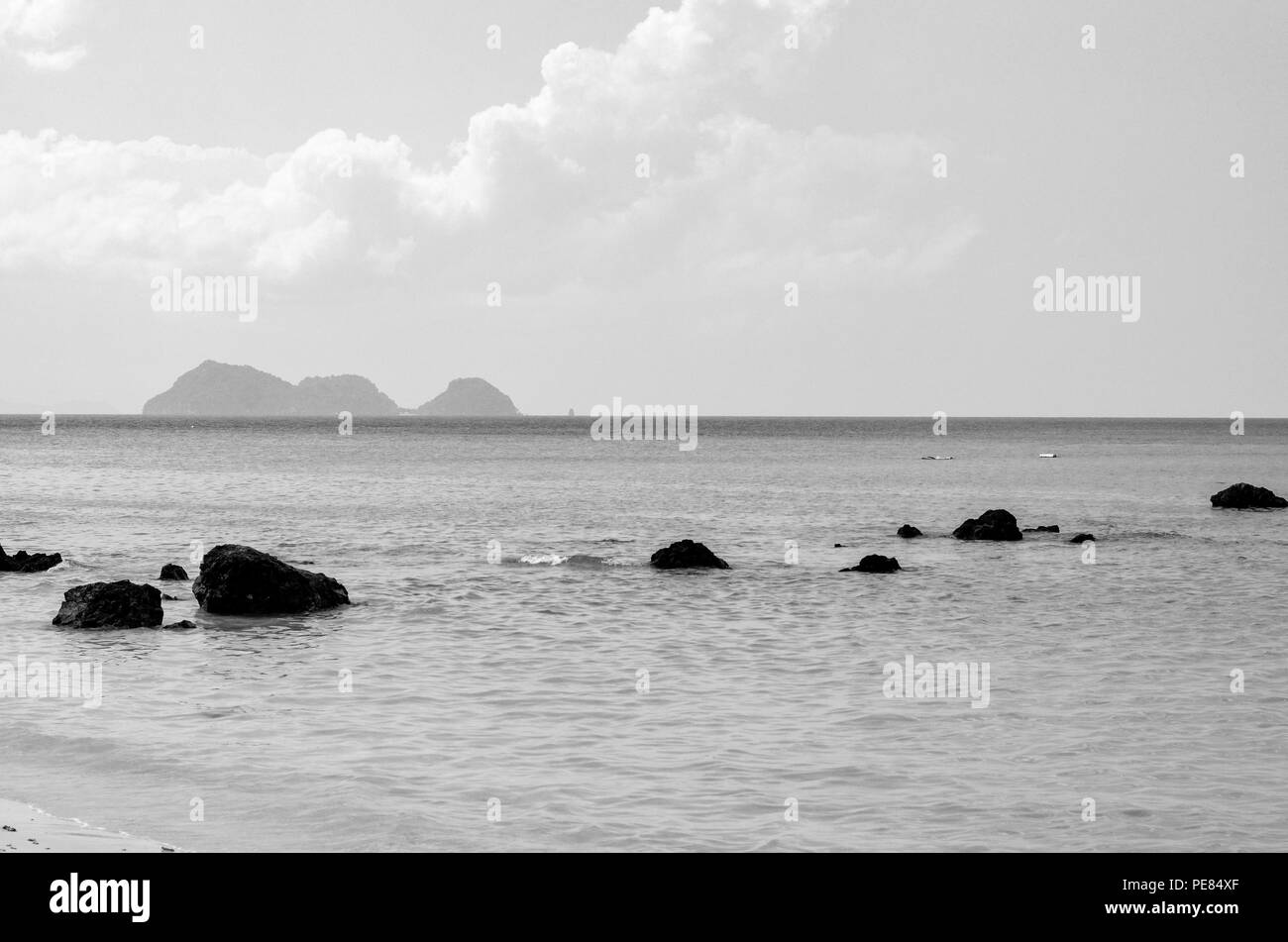 Tropischen Strand Landschaft in Schwarz und Weiß Stockfoto
