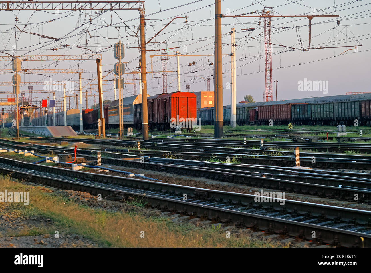 Сargo Wagen bei der Eisenbahn Güterbahnhof an einem sonnigen Sommerabend geparkt Stockfoto