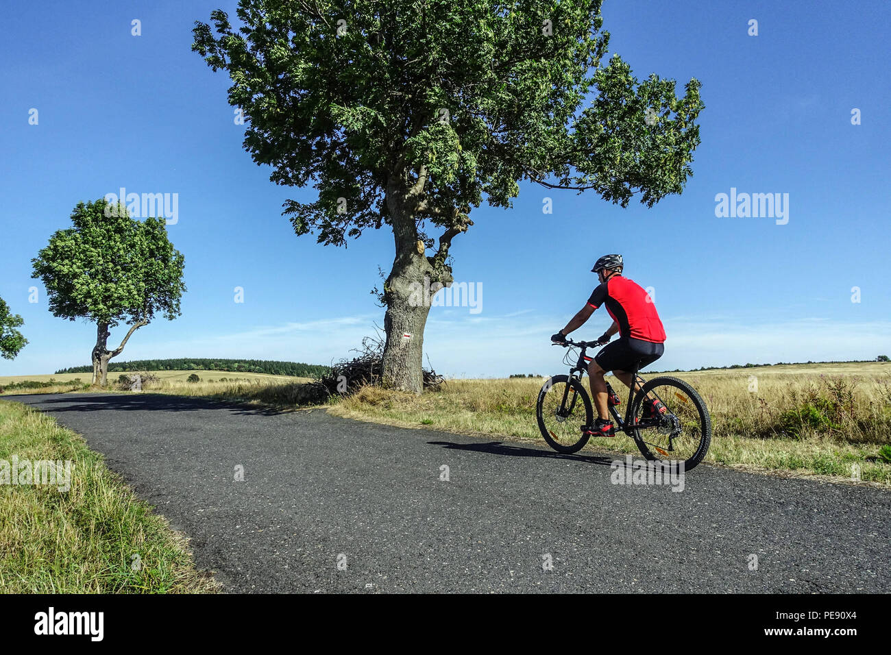 Man fährt mit dem Fahrrad, Radfahrer auf einer Landstraße, Krusne Hory Berge, Erzgebirge, Tschechische Republik Radfahren Sommerlandschaft Stockfoto