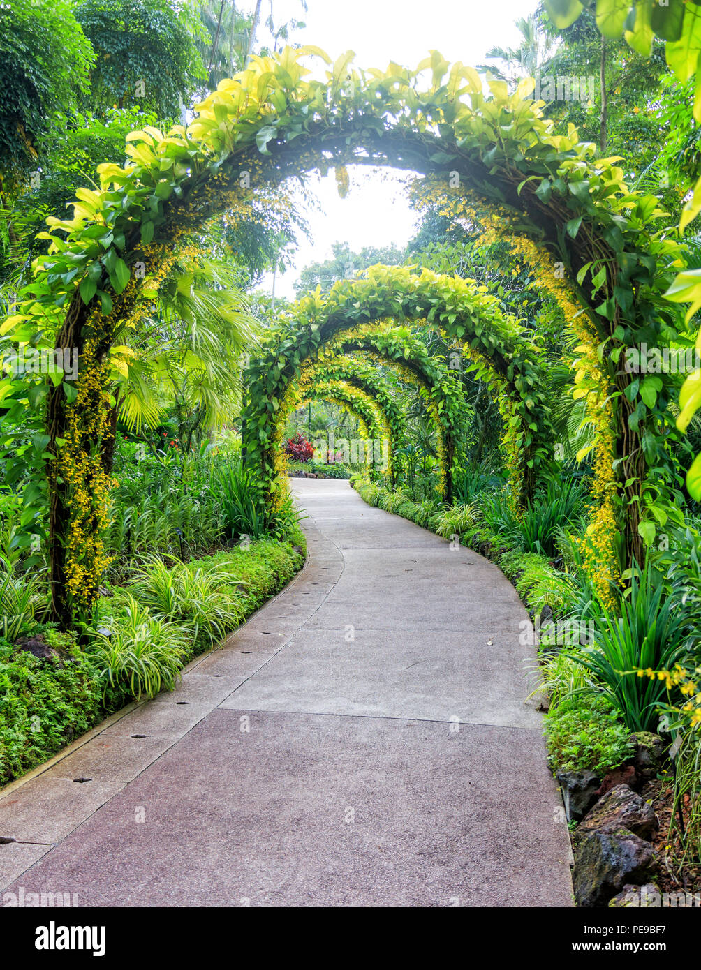 Singapur - Juli 12, 2018: National Orchid Garden am Singapore Botanic Gardens Stockfoto