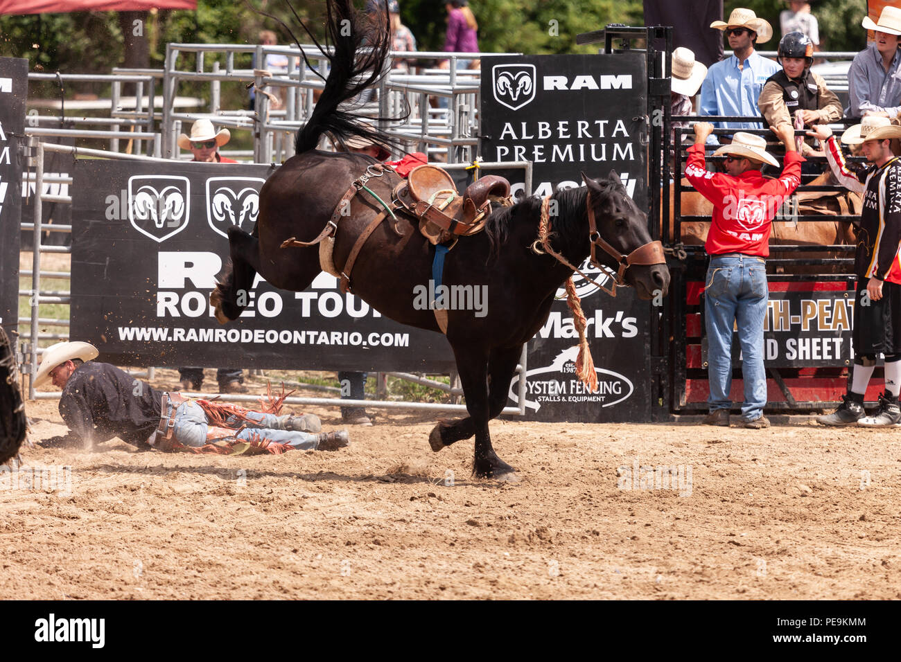 Professionellen Cowboys konkurrieren in der Saddle bronc Teil der 2018 Ram Rodeo Tour in Exeter, Ontario, Kanada. Stockfoto