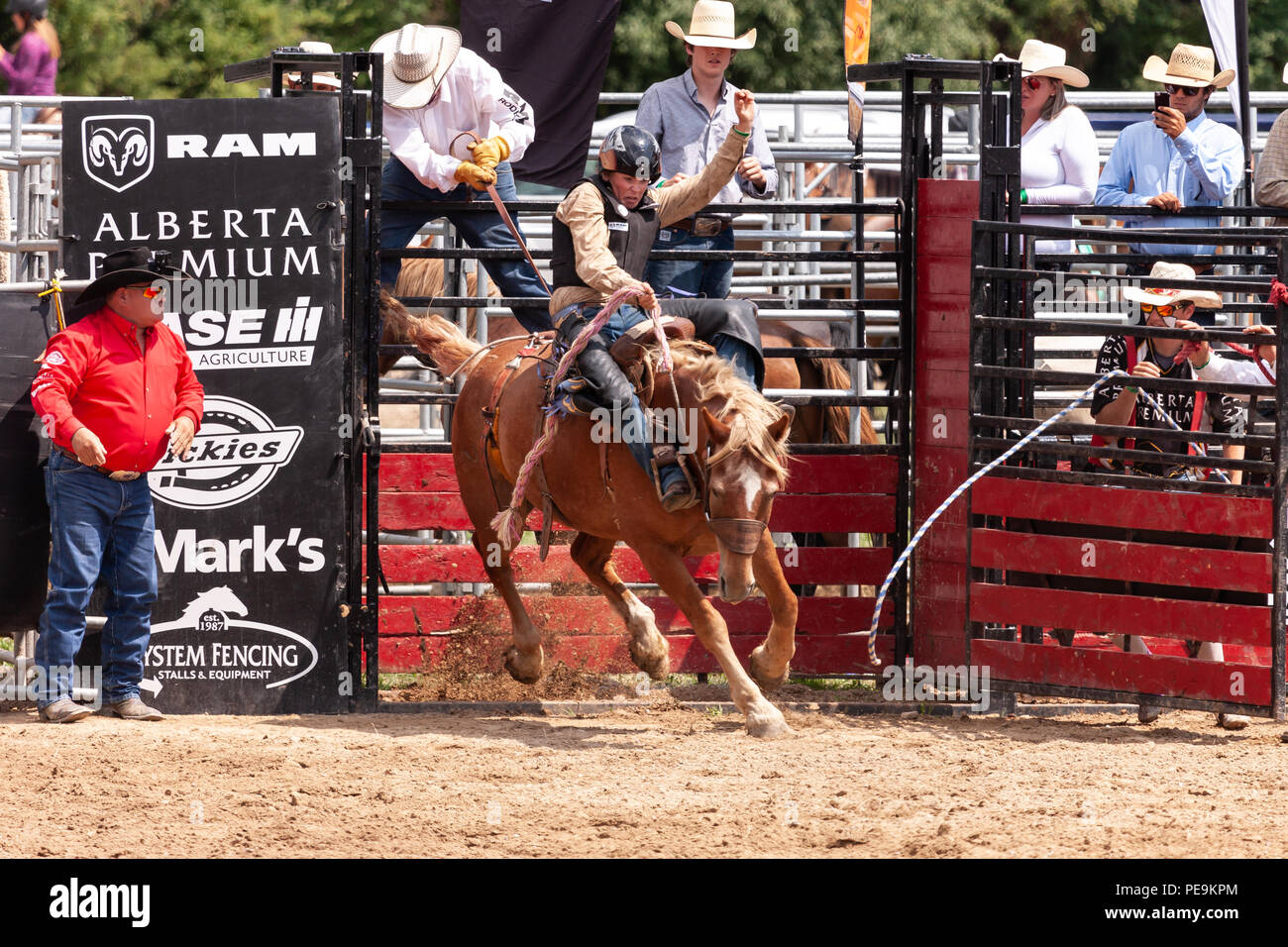 Professionellen Cowboys konkurrieren in der Saddle bronc Teil der 2018 Ram Rodeo Tour in Exeter, Ontario, Kanada. Stockfoto