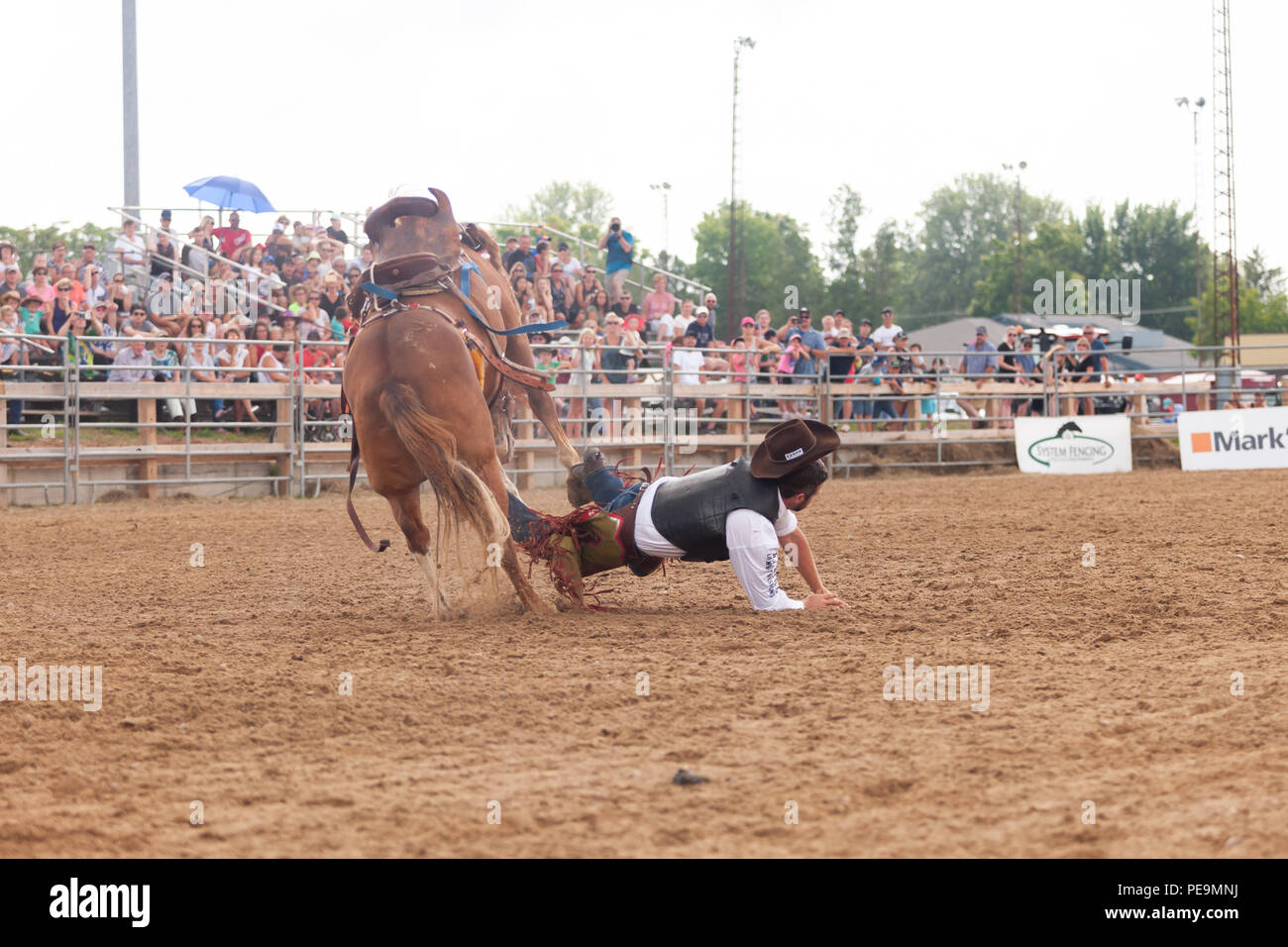 Professionellen Cowboys konkurrieren in der Saddle bronc Teil der 2018 Ram Rodeo Tour in Exeter, Ontario, Kanada. Stockfoto