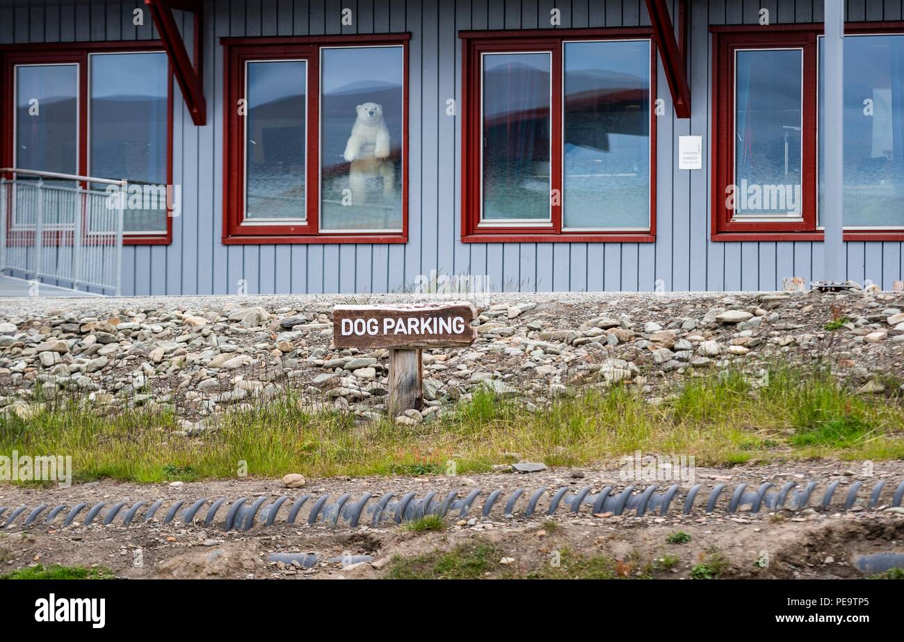 Ein Zeichen für Hund parken in Longyearbyen, wo Hunde als wesentliche Reisen verwendet werden, sobald der Schnee kommt Stockfoto